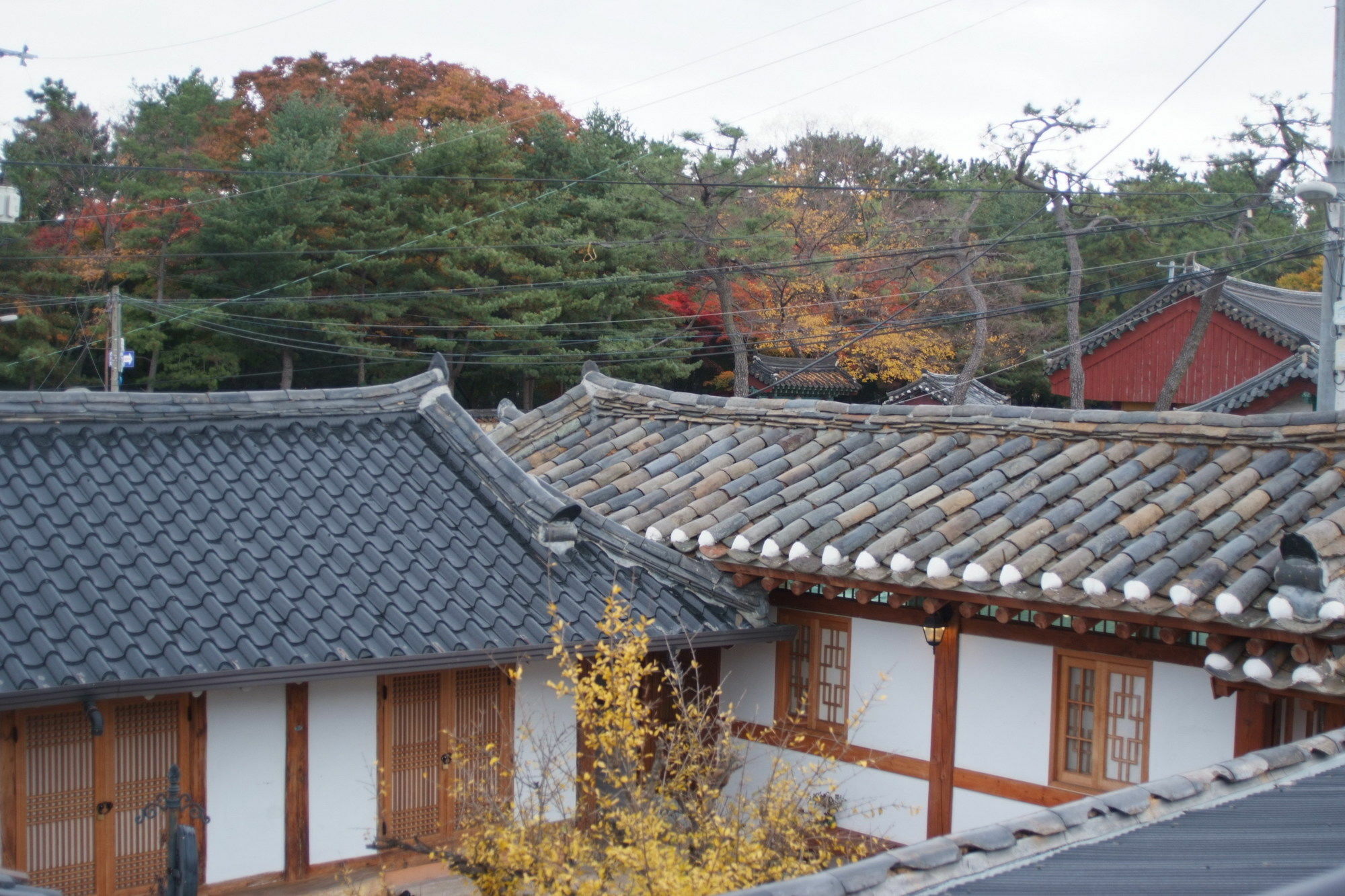 Floral Space Hanok Guesthouse Кьонджу Екстер'єр фото